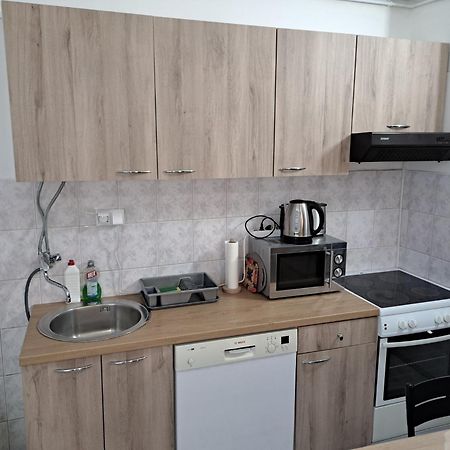 Stefan Apartman Novi Sad Bagian luar foto