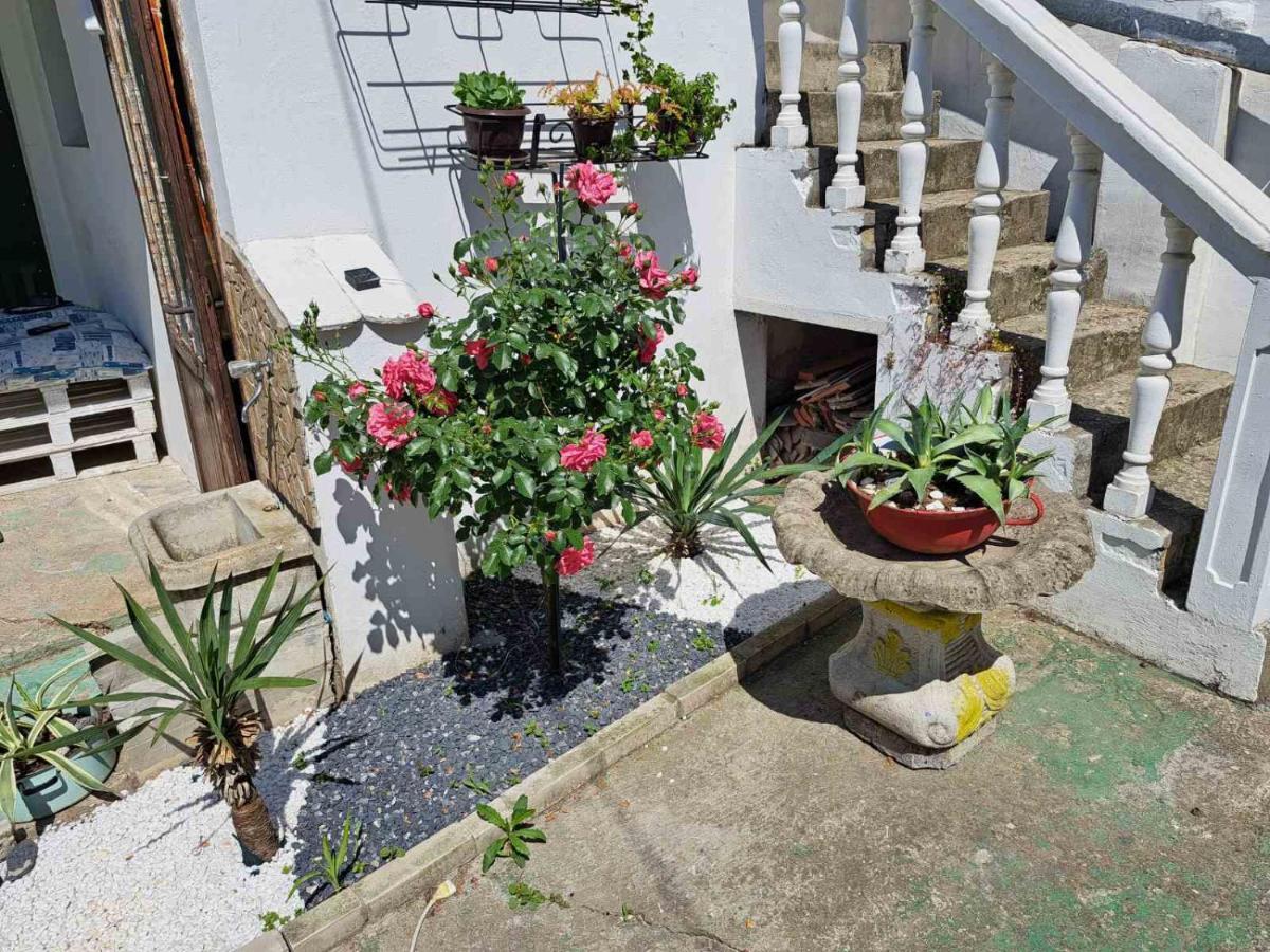 Stefan Apartman Novi Sad Bagian luar foto