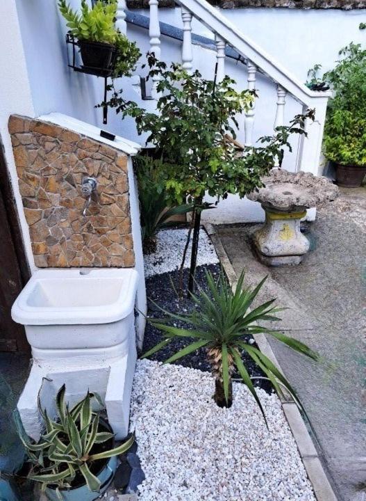 Stefan Apartman Novi Sad Bagian luar foto