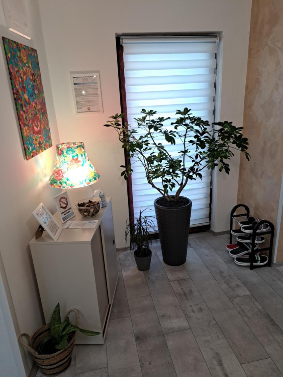 Stefan Apartman Novi Sad Bagian luar foto